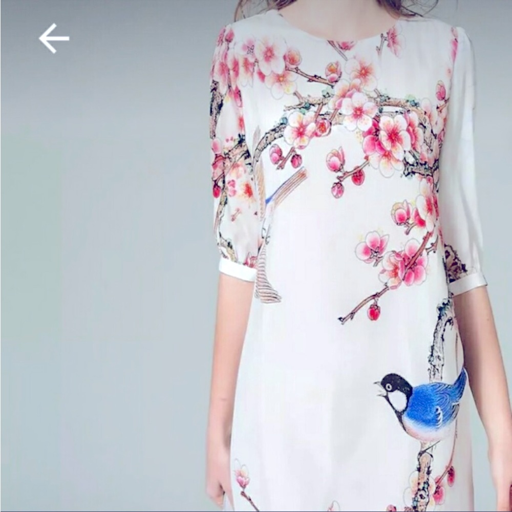 Nexiia Silk Bluebird Shift Dress Knee
Length Floral Half Sleeve